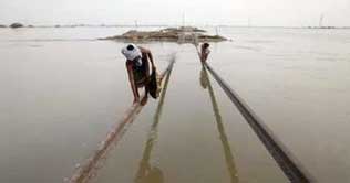 Flood devastation continues, efforts on to save Dadu city