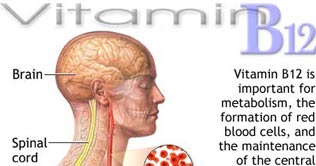 B Vitamins reduce the risk of Alzheimer's