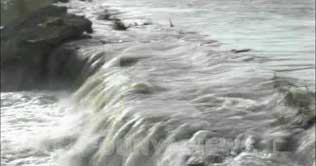 Water level recedes in Manchar Lake