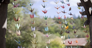 American girl offers 1,000 origami cranes to Japan victims