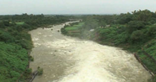 Punjabs quota curtailed by 50 percent: IRSA 