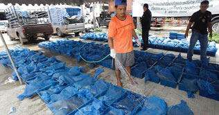 Thailand seizes 1,800 lizards from trucks