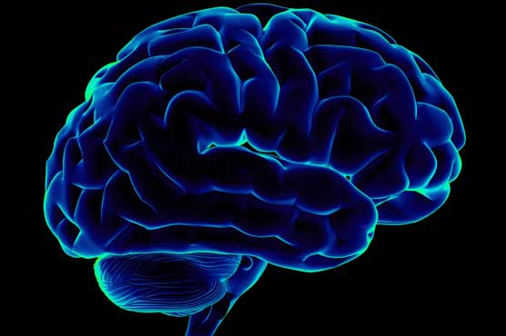With age, human brain alters