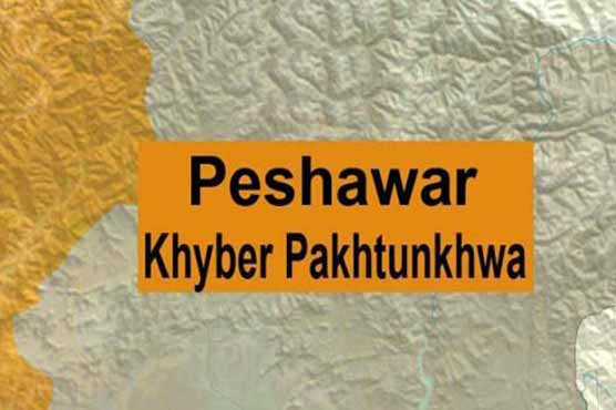 Twin boys replaced with twin girls at Peshawar hospital