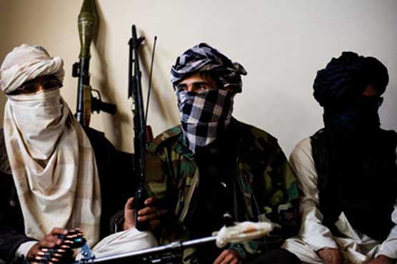 Pakistani Taliban spokesman denies peace talks