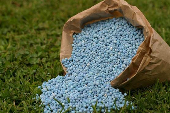 DAP fertilizers price sinks in global market