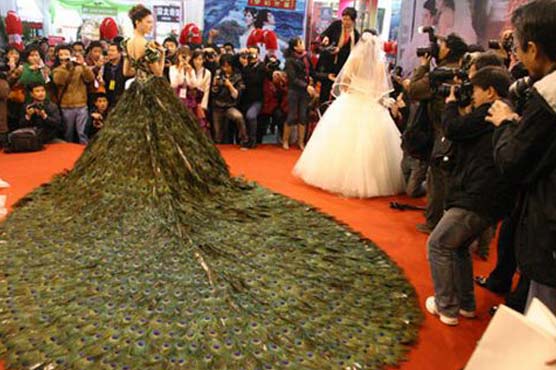 Chinese man arrested for hiring wedding strippers