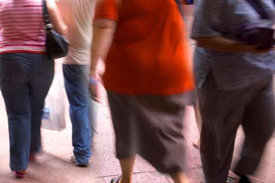 Orangutans shed light on obesity in people