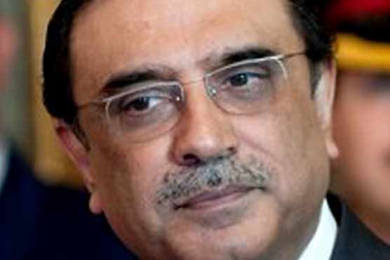 Malik calls on President Zardari in Dubai
