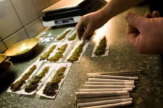 Dutch pot sales to foreigners go up in smoke