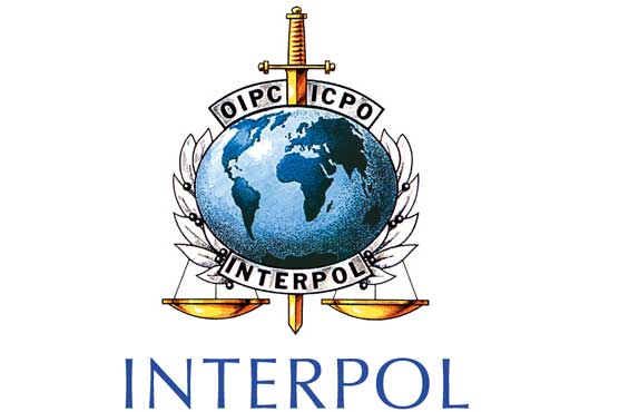 Interpol offers help to battle corruption