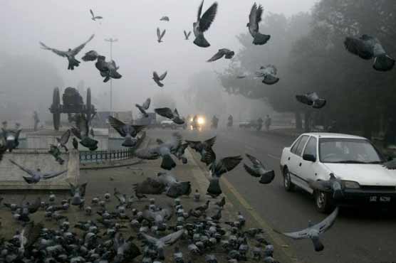 Country to receive light rain during next 48 hours