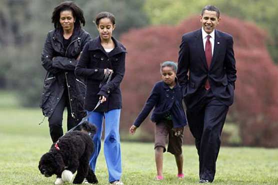 Who would first lady be in next life? Bo the dog