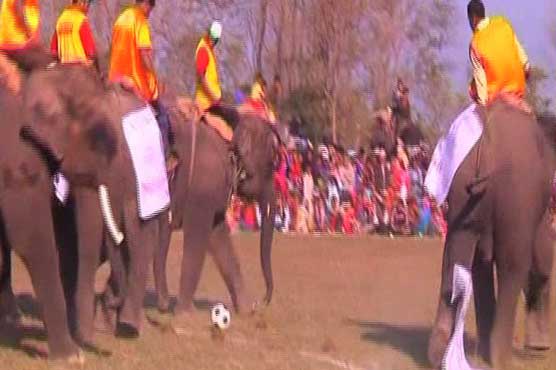 Nepal elephants play soccer in festival