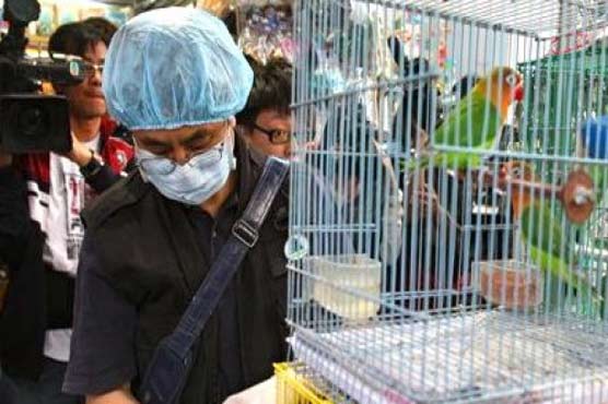 China reports suspected human bird flu case