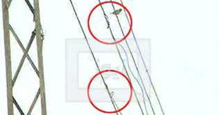 Changa Manga: Villagers become power thieves