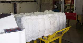 Cotton price continues to plummet