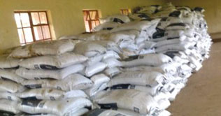 Agri deptt quietly watches sale of Urea in black market