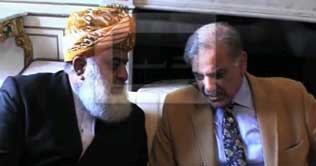 Shahbaz, Fazl discuss political scenario 