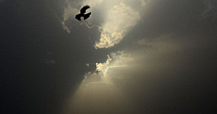 More rains expected in next 24 hours