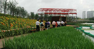 Urban farms sprout up on the outskirts of Beijing