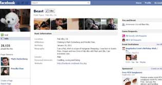 Majority of UK pets have their own Facebook pages