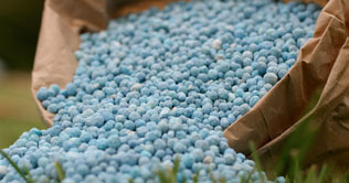 DAP price continues to soar in Pakistani market