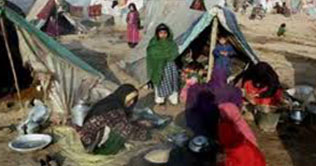 250 employees terminated