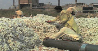 Lint price decreases by Rs 500 per maund