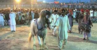 Dera Ismail Khan: Traditional festival 