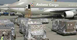 South Korean cargo plane crashes