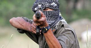 Iran: Kurd rebels kill Basij militiaman