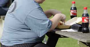 More brown fat may combat obesity