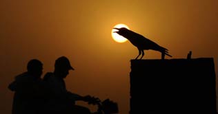 PMD says mercury to go up further 