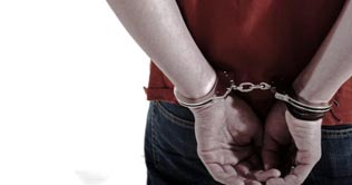 Canadian stuffs his son in wooden box for stealing chickens