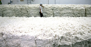 Ginning season kicks off in country