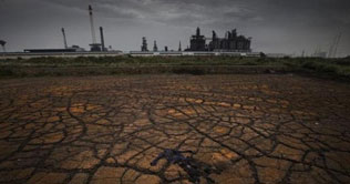 China sets up soil making factory in Mongolia