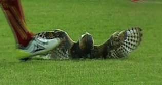 Soccer player faces sanctions for kicking opposition's mascot