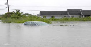 New Zealand earthquake:  77 rescued 