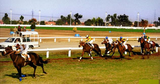 Pakistan Derby at Lahore Race Club