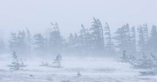 Winter storm hits Canada