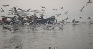 India: Migratory birds stay longer than usual