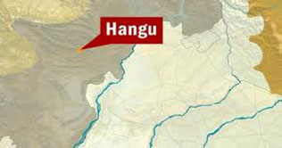 Hangu: 10 killed , 7 injured in firing incident