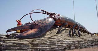 Huge lobster saved from the pot