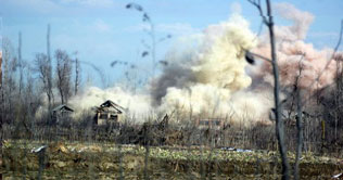 Tiger forest reserve reels under fire in eastern India