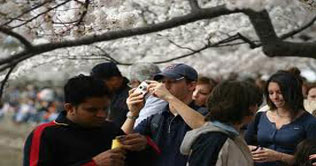 99th cherry festival begins in US