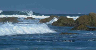 Oceans could rise 1.6 metres by 2100: study