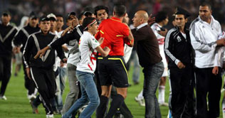 Bees interrupt Dutch friendly match