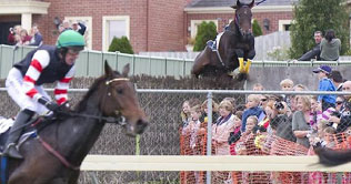 Horse jumps into the crowd 