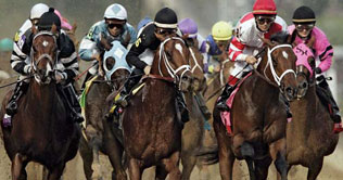 Animal Kingdom wins Kentuck Derby